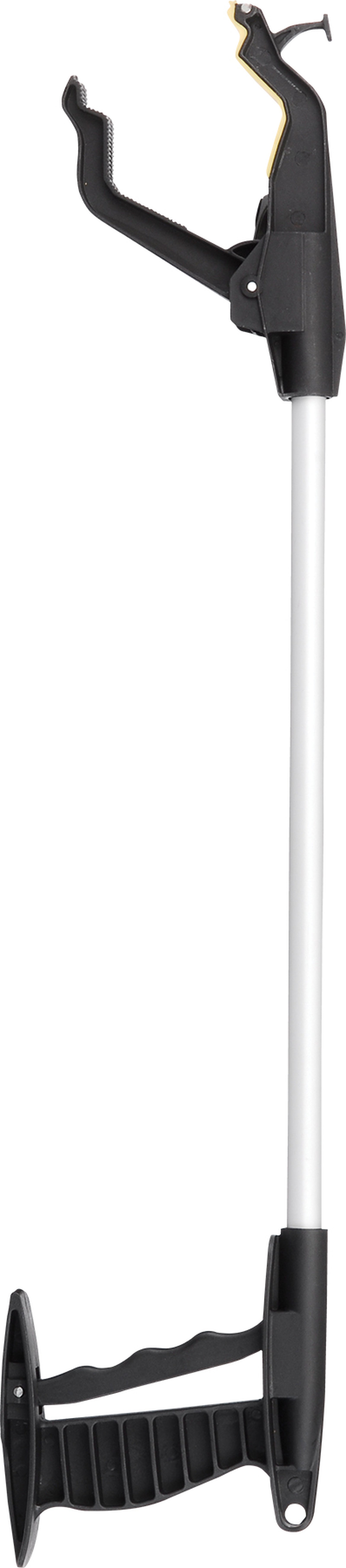 PRINT_D-24 Vertical